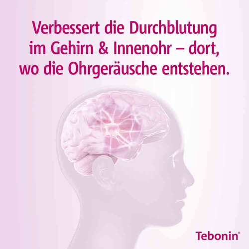TEBONIN® intens 120 mg Filmtabletten  - 3