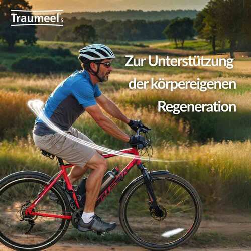 Traumeel S Tabletten - 3