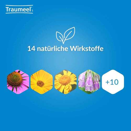 Traumeel S Tabletten - 4