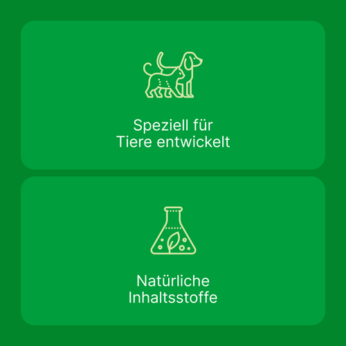 Zeel LT ad us. vet. Tabletten - 4
