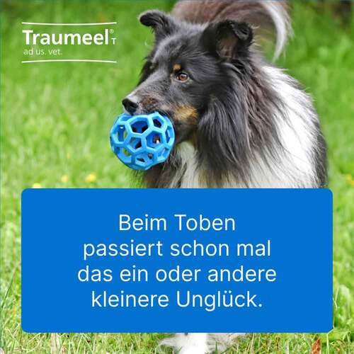 Traumeel T ad us. vet. Tabletten f&uuml;r Hund und Katze - 2