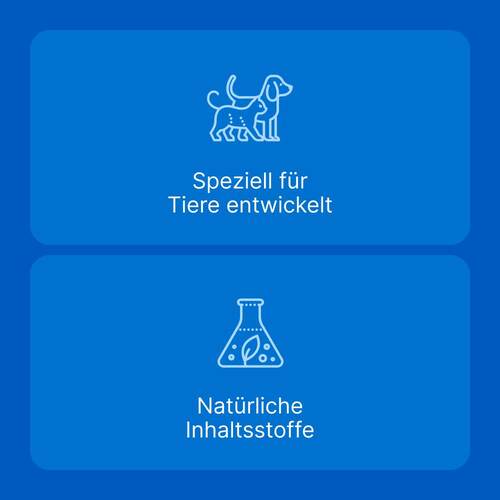 Traumeel T ad us. vet. Tabletten f&uuml;r Hund und Katze - 3