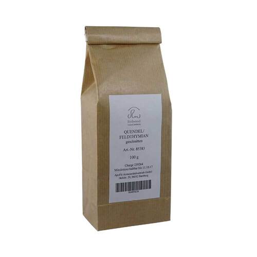 Quendel Feldthymian - 1