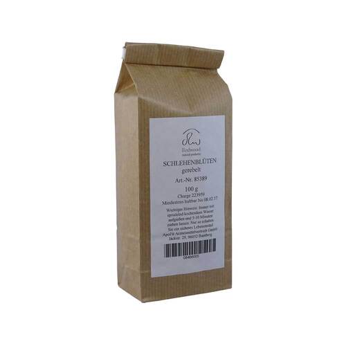 Schlehenbl&uuml;ten - 1