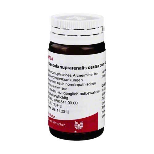 Glandula suprarenalis Dextra c. - 1