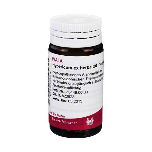 Hypericum ex Herba D 6 Globuli - 1