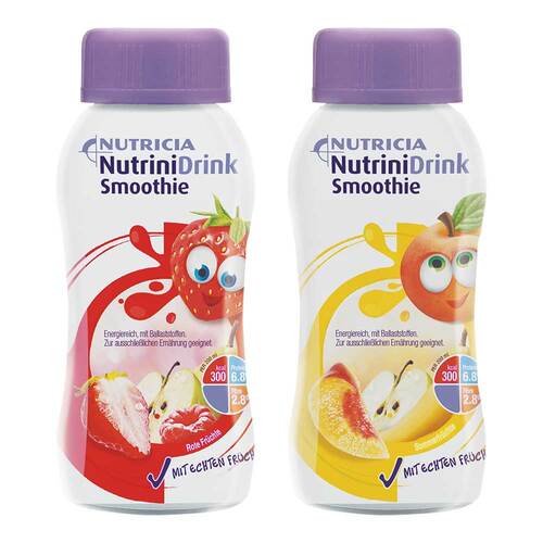 Nutrini Drink Smoothie Mischkarton - 1