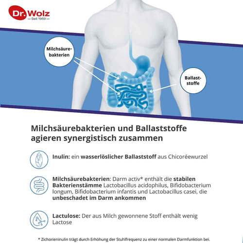 Darm Activ Dr. Wolz Pulver - 4