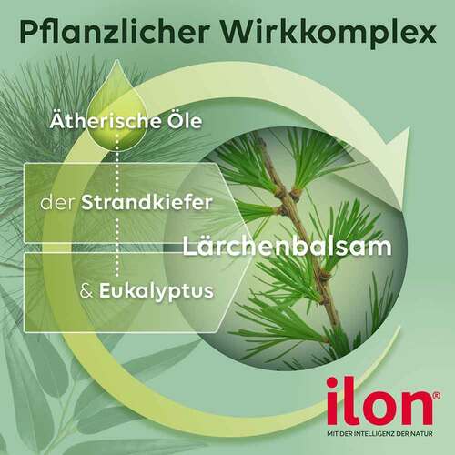 ilon® Salbe classic - 6