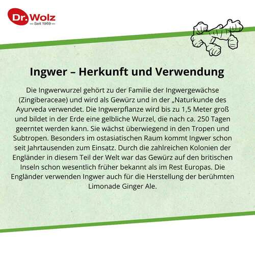 Ingwer Extrakt Dr. Wolz Kapseln - 3