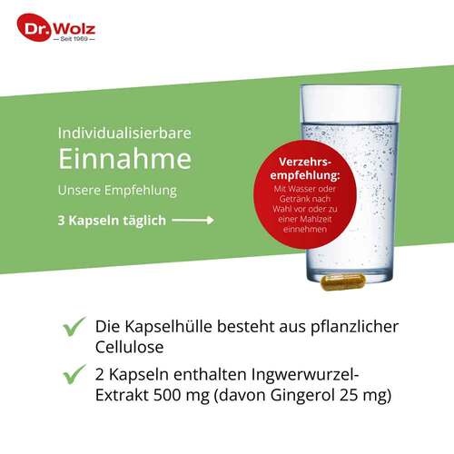 Ingwer Extrakt Dr. Wolz Kapseln - 4