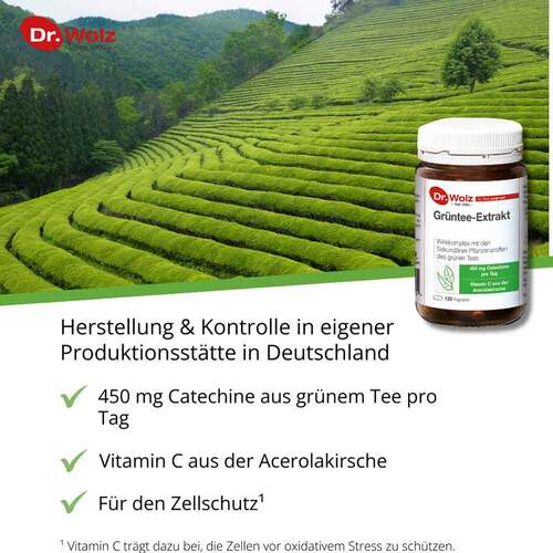 Gr&uuml;ntee Extrakt Dr. Wolz Kapseln - 2