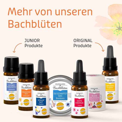 Bachbl&uuml;ten Murnauers Globuli Konzentrier Dich - 4