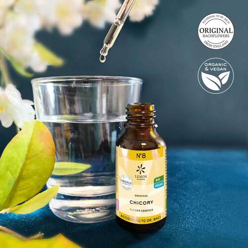 Bachbl&uuml;te No.8 Chicory Bio - 2