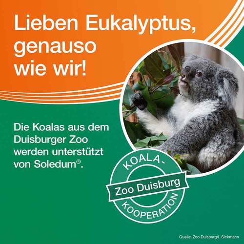 Soledum Kapseln junior - 6