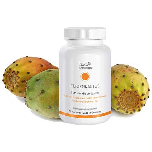 Feigenkaktus Kapseln - 1