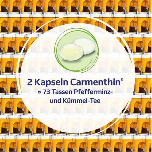 Carmenthin bei Verdauungsst&ouml;rungen - 4