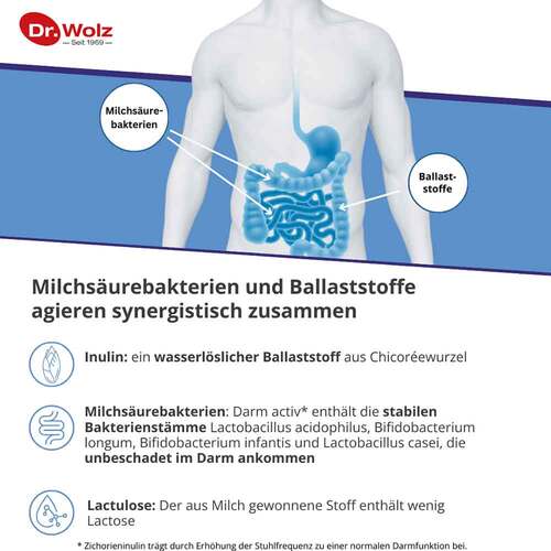 Darm Activ Dr. Wolz Pulver - 4