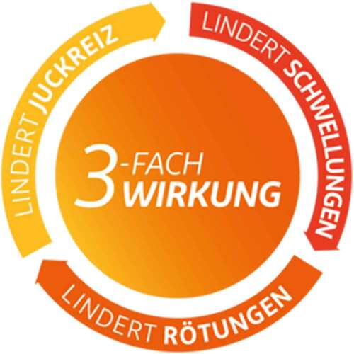 FeniHydrocort Creme 0,25 %, Hydrocortison 2,5 mg/g, wirksam bei Hautentz&uuml;ndungen - 2