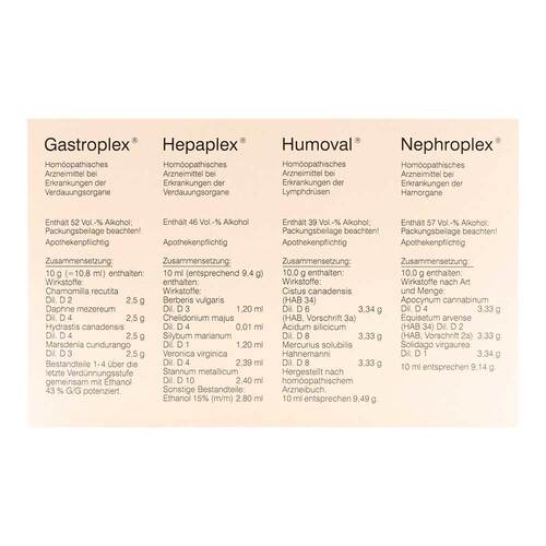 Ausleitungsset Steierl Tropfen - 2