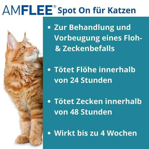 Amflee 50 mg Spot-On f&uuml;r Katzen - 2