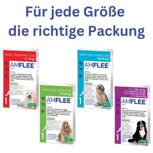 Amflee 134 mg Spot-On L&ouml;sung f&uuml;r mittelgro&szlig;e Hunde - 4