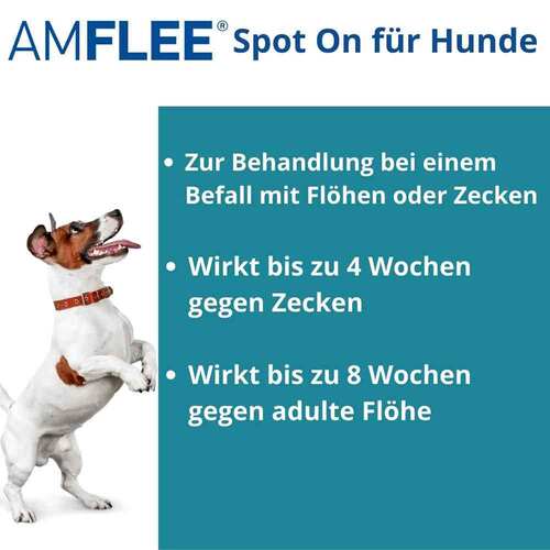 Amflee 268 mg Spot-On f&uuml;r gro&szlig;e Hunde - 2