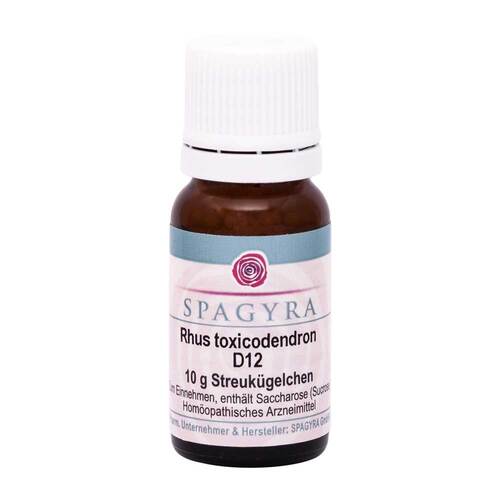 Rhus Toxicodendron D 12 Globuli - 1