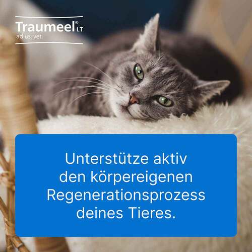 Traumeel LT Ampullen vet. (f&uuml;r Tiere) - 4