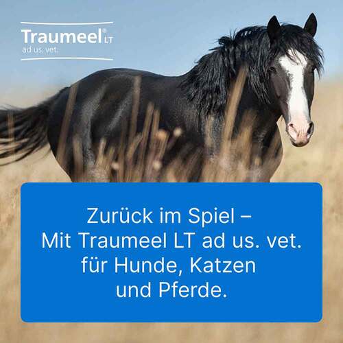 Traumeel LT Ampullen vet. (f&uuml;r Tiere) - 5