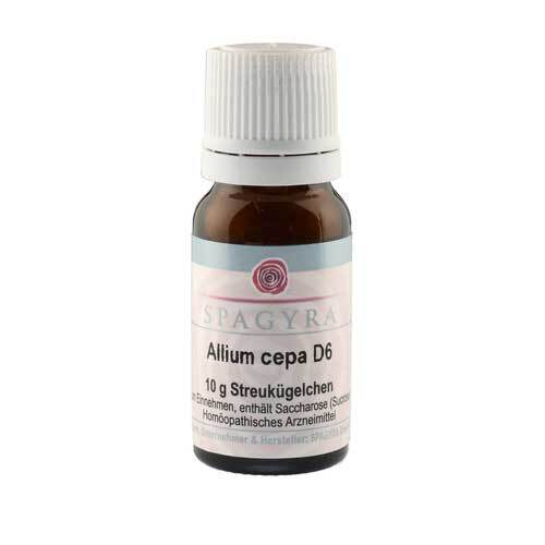 Allium cepa D 6 Globuli - 1