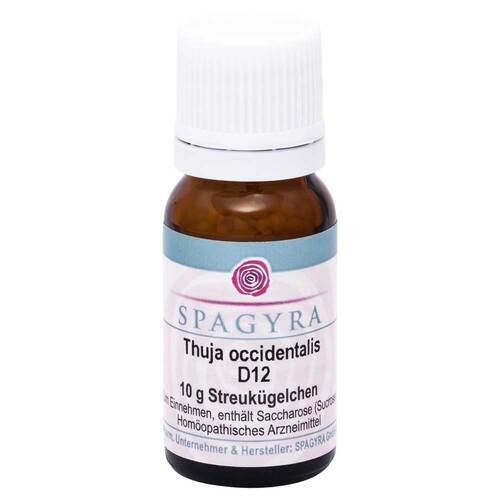 Thuja Occidentalis D 12 Globuli - 1