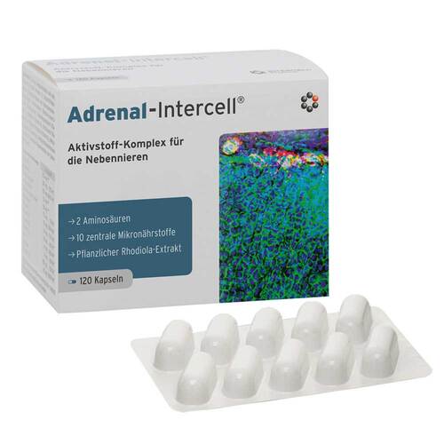 Adrenal-Intercell Kapseln - 1