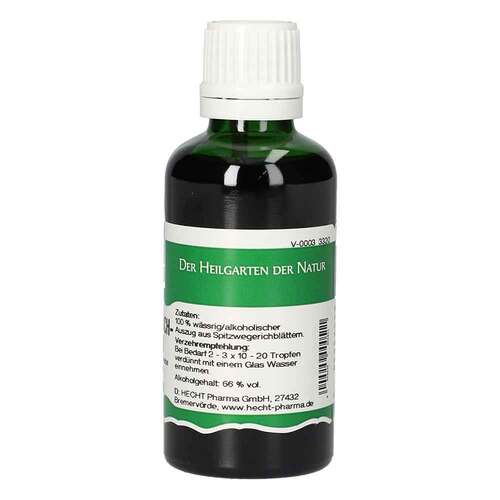 Spitzwegerich Tropfen zum Einnehmen - 2