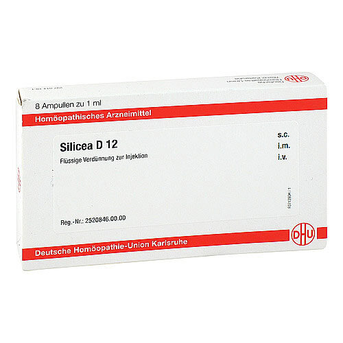 DHU Silicea D 12 Ampullen - 1