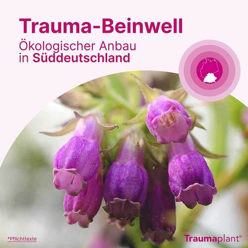 Traumaplant Schmerzcreme - 7