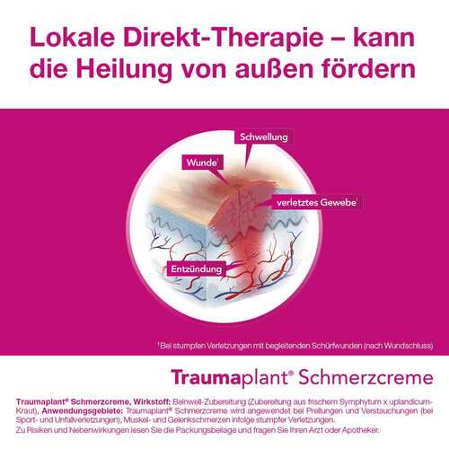 Traumaplant® Schmerzcreme - 6