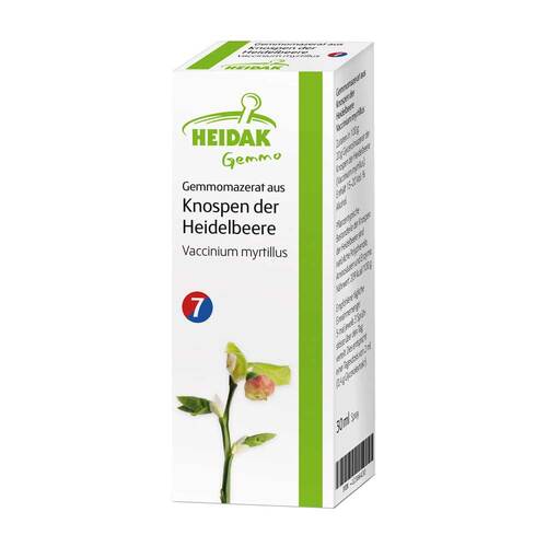 Gemmomazerat Vaccinium myrtillus Spray - 1