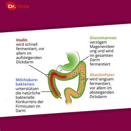 Probiocolon Gewichtsreduktion Dr. Wolz Pulver - 3