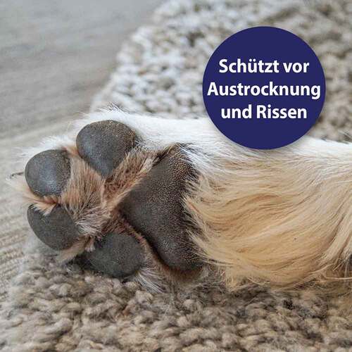Canosept Pfotenpflege Gel f&uuml;r Hunde - 3