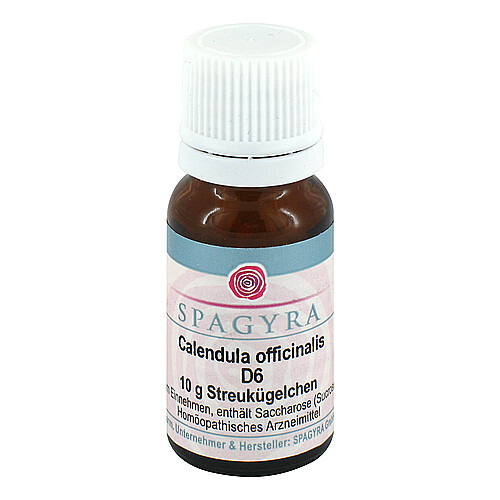 Calendula officinalis D 6 Globuli - 1