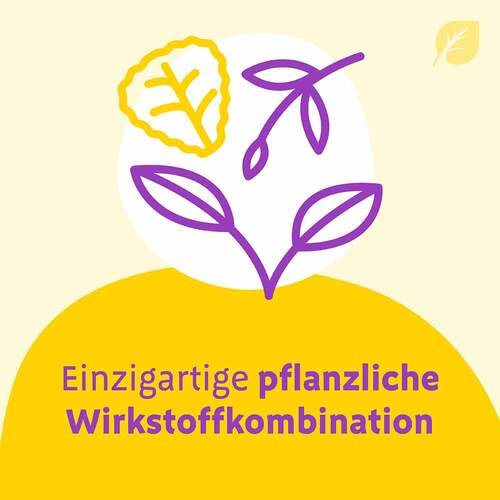 Canephron Uno &uuml;berzogene Tabletten - 4