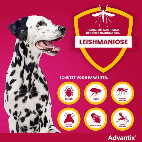 Advantix Spot-on L&ouml;sung z.Auftr.a.d.H.f&uuml;r Hund 25 - 40 kg - 5