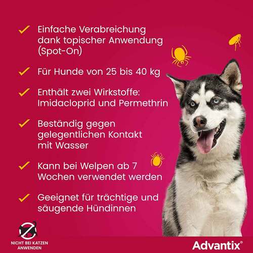 Advantix Spot-on L&ouml;sung z.Auftr.a.d.H.f&uuml;r Hund 25 - 40 kg - 6