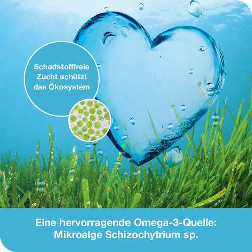 OMEGA3-Loges pflanzlich Kapseln - 3