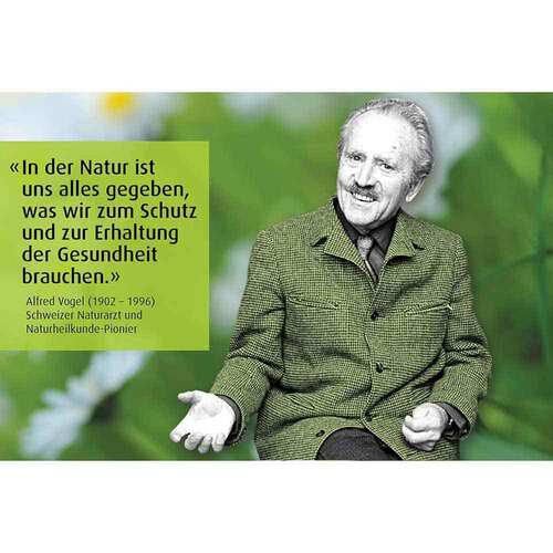 A.VOGEL Augen-Tropfen 6 Mon.n.&Ouml;ffnen haltbar - 3