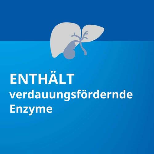 Pankreatin STADA® 20.000 - 4