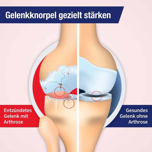 GELENCIUM® arthro Tropfen - 2