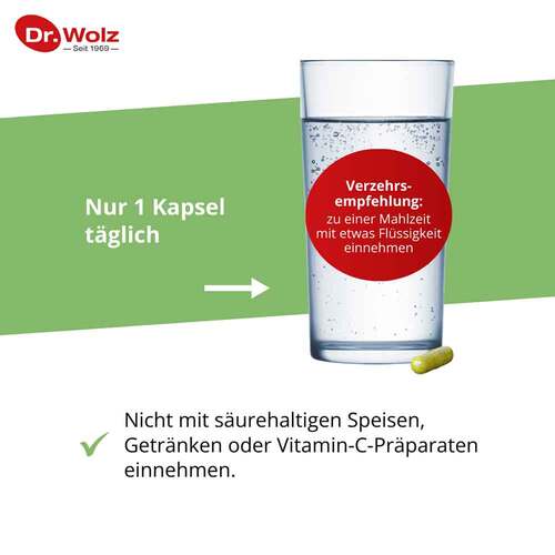 Brokkoliextrakt + Aktiv-Enzym Dr. Wolz magensaftresistent Kapseln  - 5