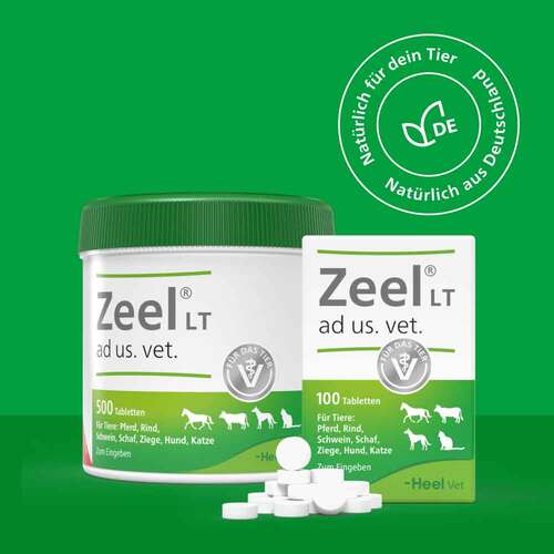 Zeel® LT ad us. vet. Tabletten - 7